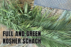 Schach Bundles