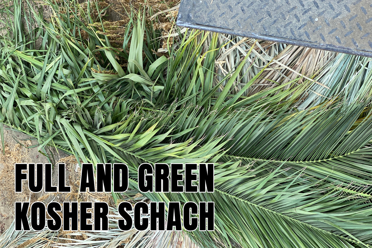 Schach Bundles